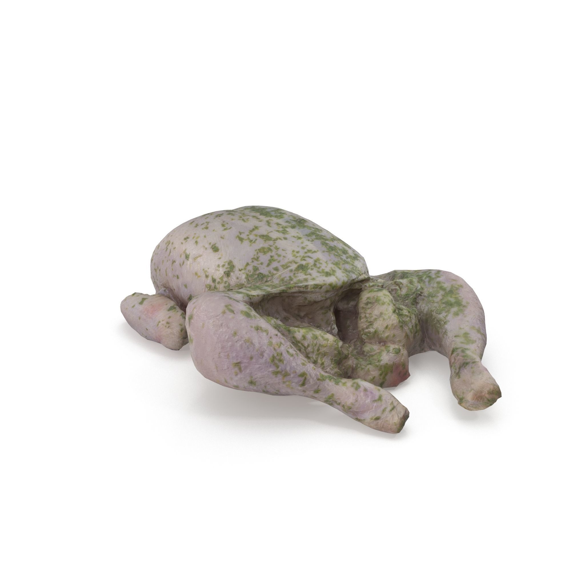 Raw Chicken seasoned with sage - 4K textures 3D model_11