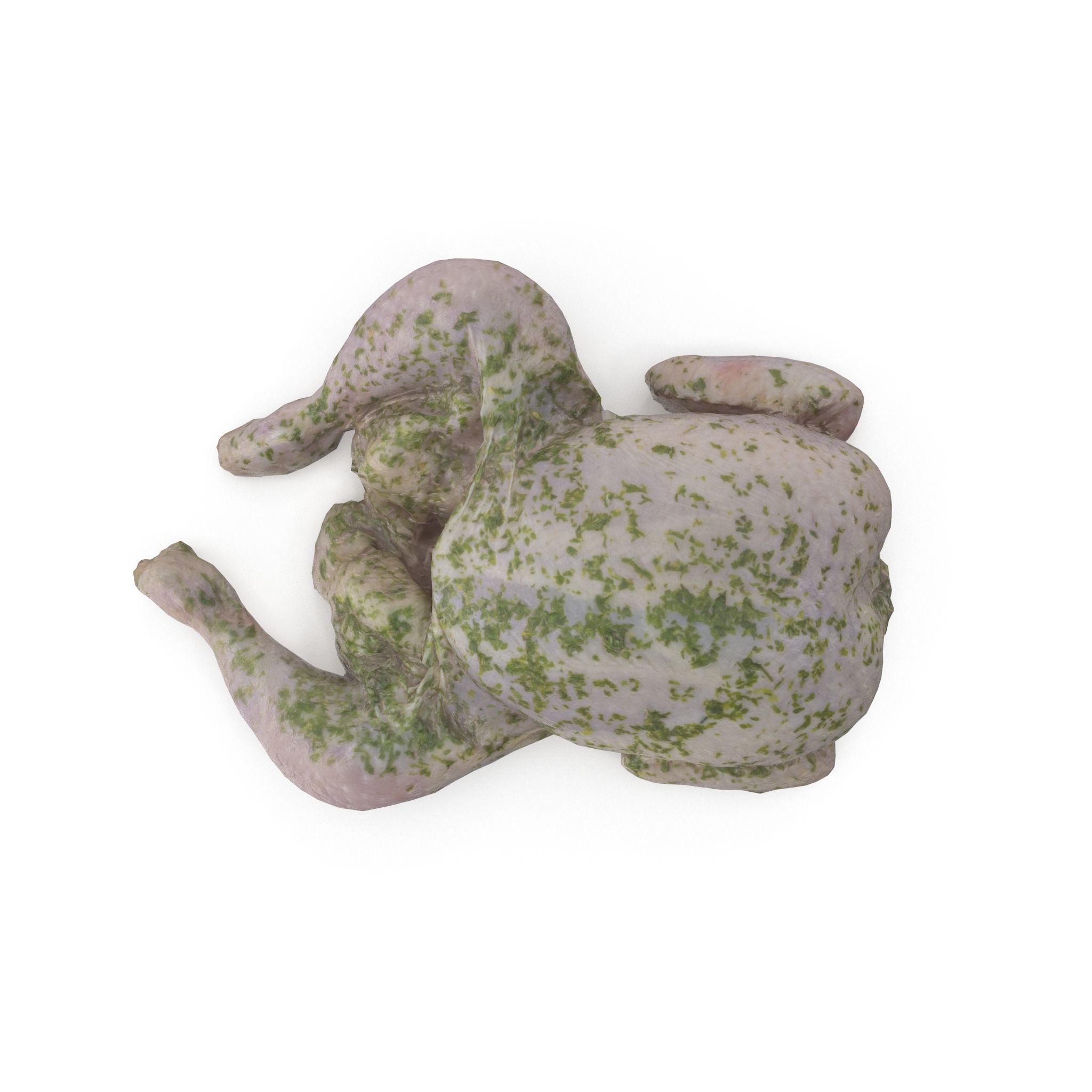 Raw Chicken seasoned with sage - 4K textures 3D model_3