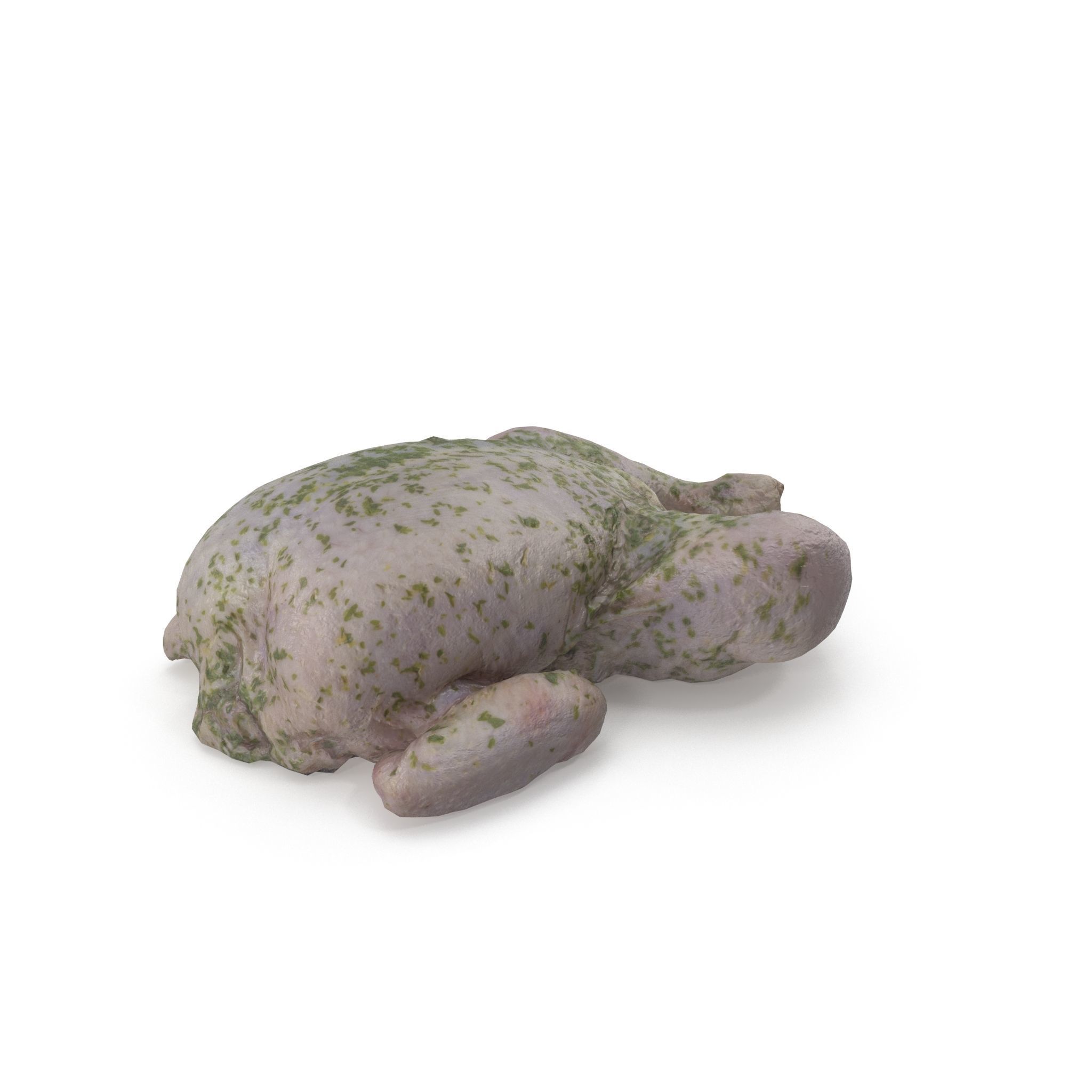 Raw Chicken seasoned with sage - 4K textures 3D model_10