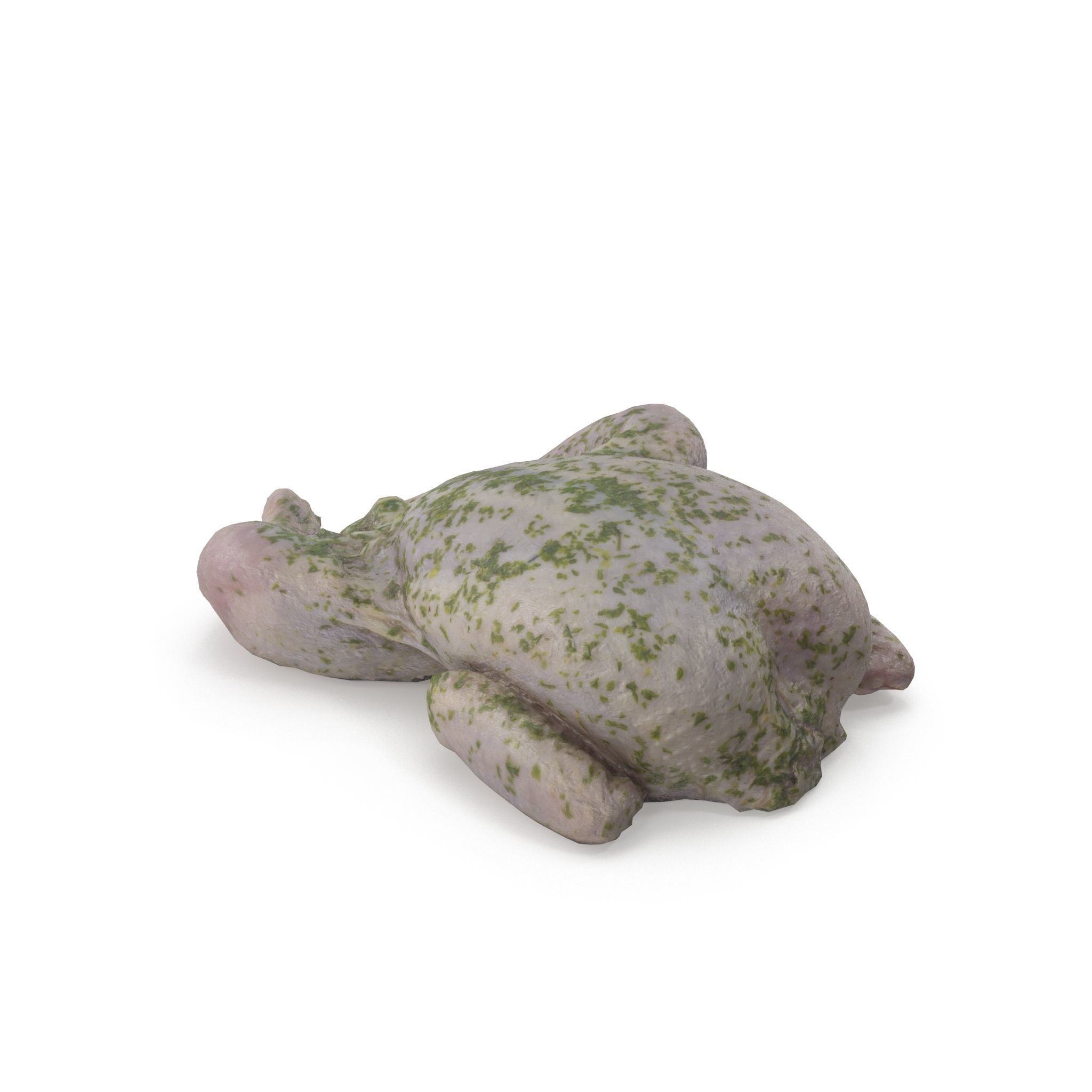 Raw Chicken seasoned with sage - 4K textures 3D model_9