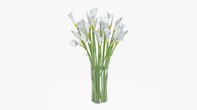 Callas flowers 04 3D model