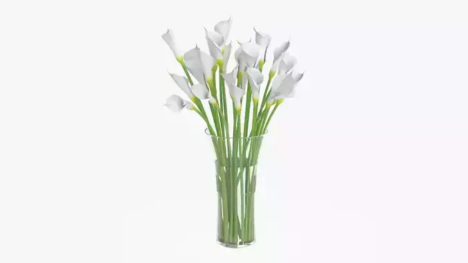 Callas flowers 04 3D model