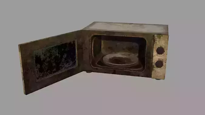 Abandoned Microwave Oven