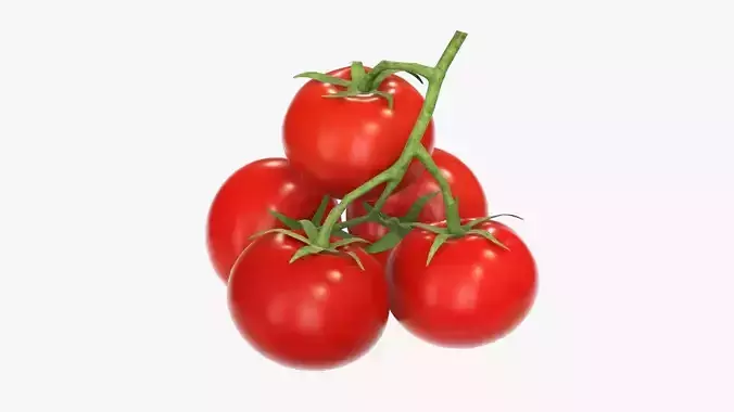  Branch with tomatoes 01 3D model