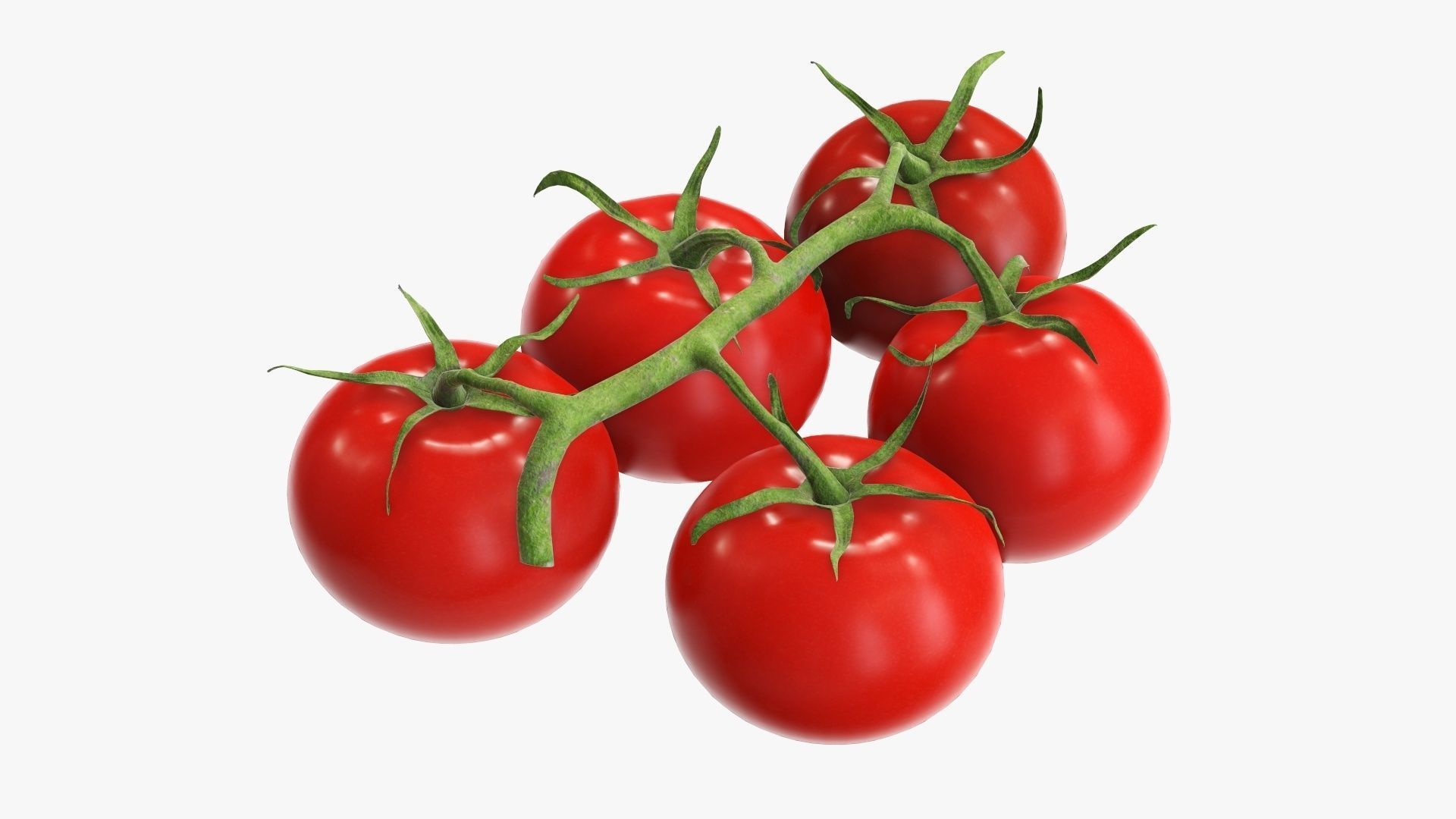 Branch with tomatoes 02