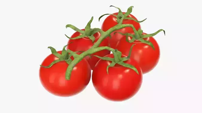 Small tomato cherry red branch 01 3D model