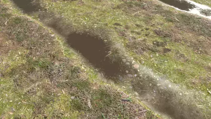 Forest ground PBR Pack 12