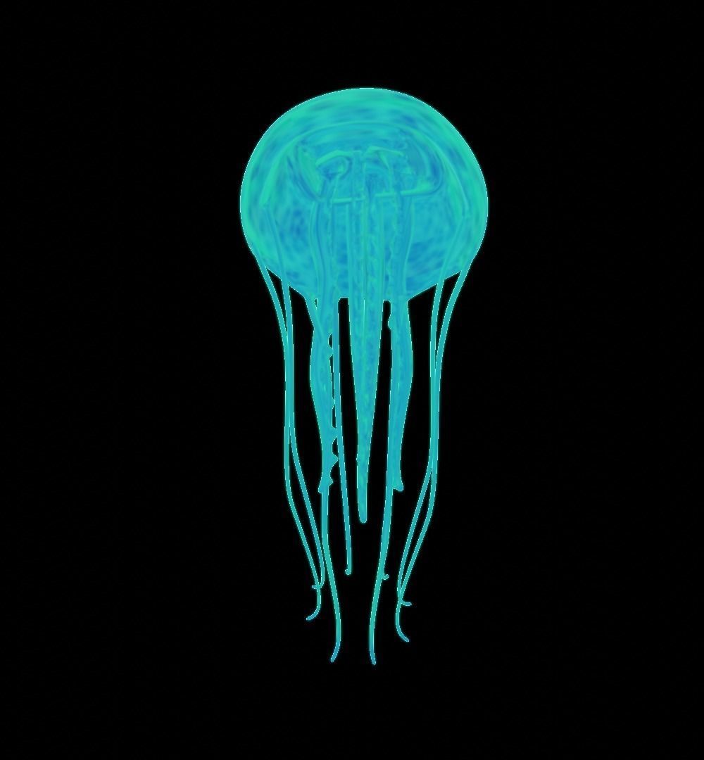 jellyfish hd wallpaper Low-poly 3D model_2