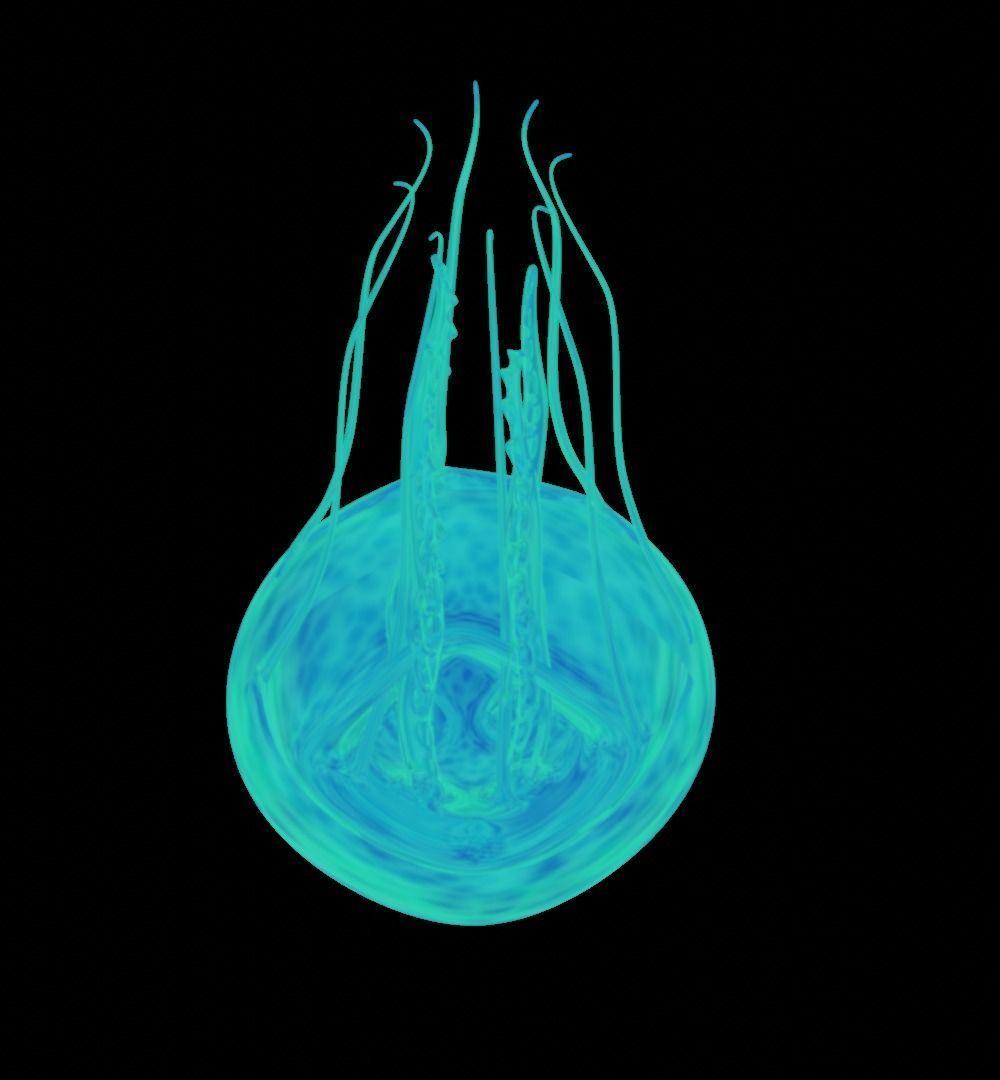 jellyfish hd wallpaper Low-poly 3D model_8