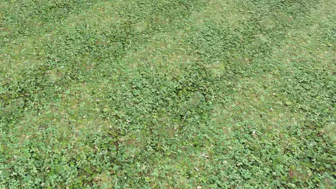 Forest ground PBR Pack 13