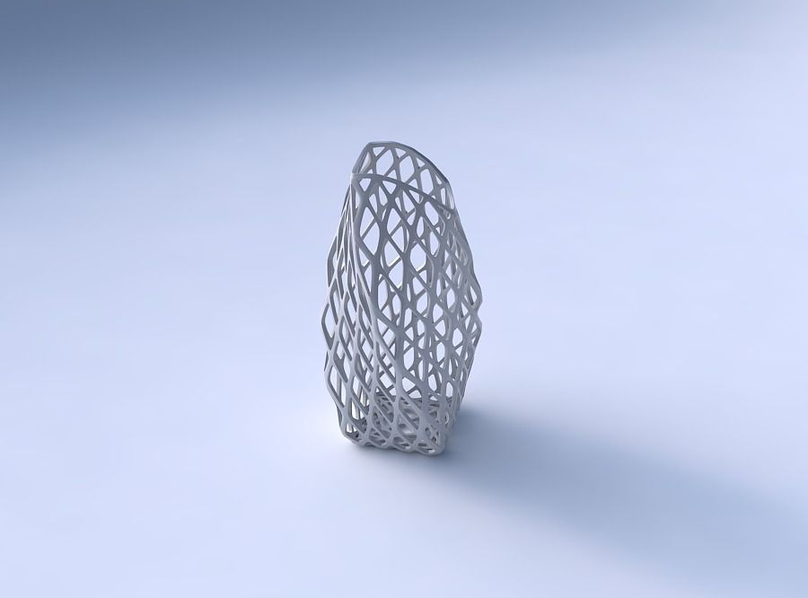 Vase twisted arc quadratic with diagonal grid lattice 3D print model_3