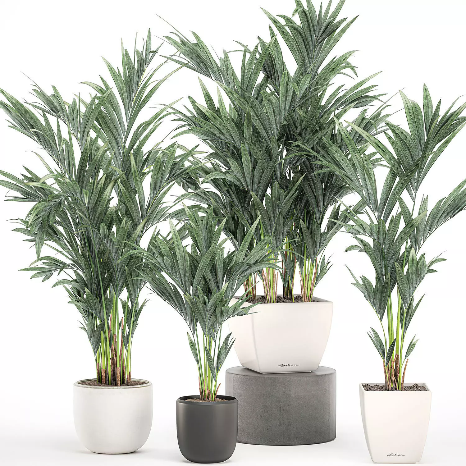 Decorative palm in a white flowerpot 563 3D model