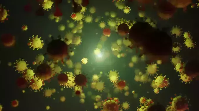 Flythrough Corona Virus COVID-19 3D model