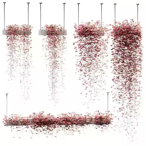 Flowers on the shelves - 5 models