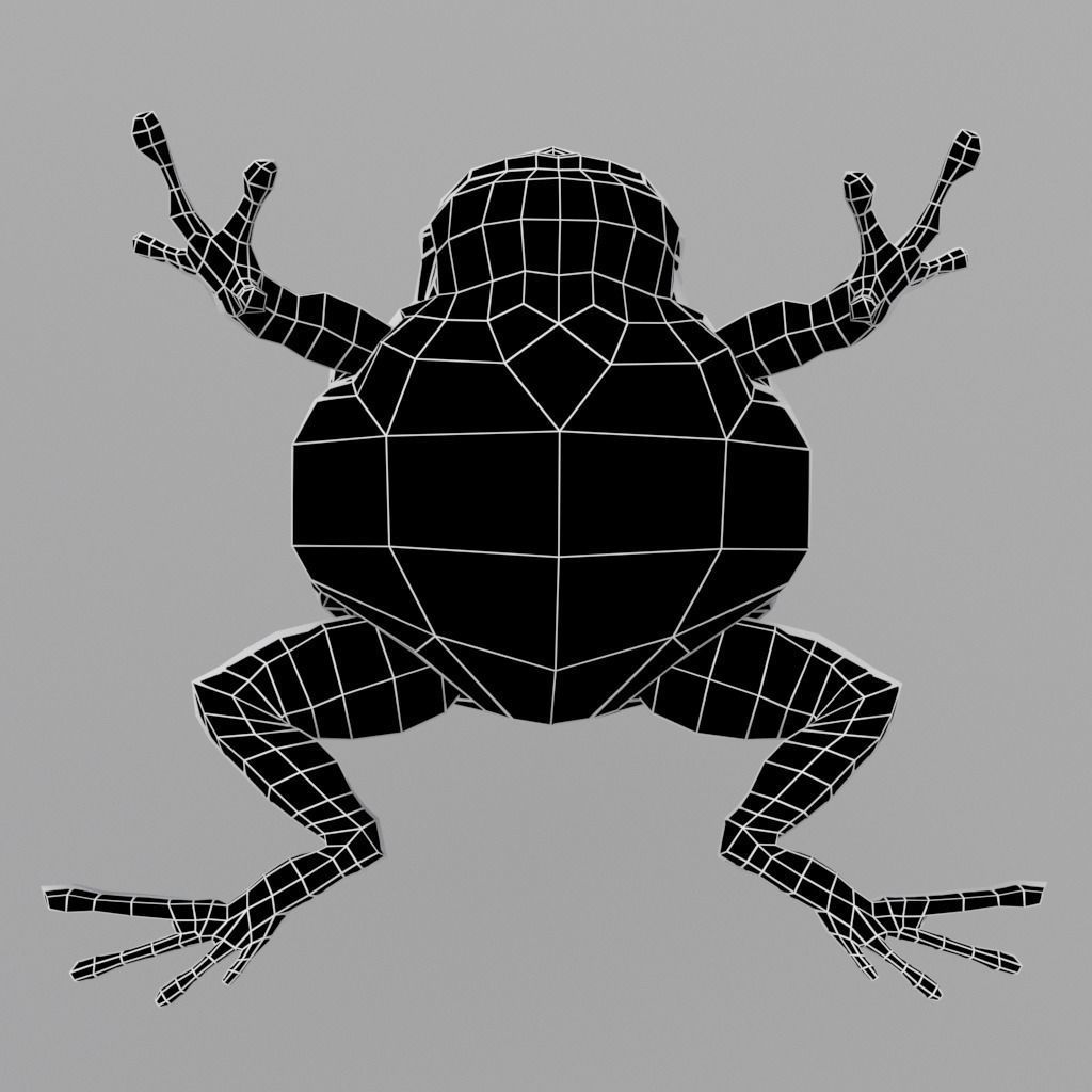 Anuran frog Low-poly 3D model_9