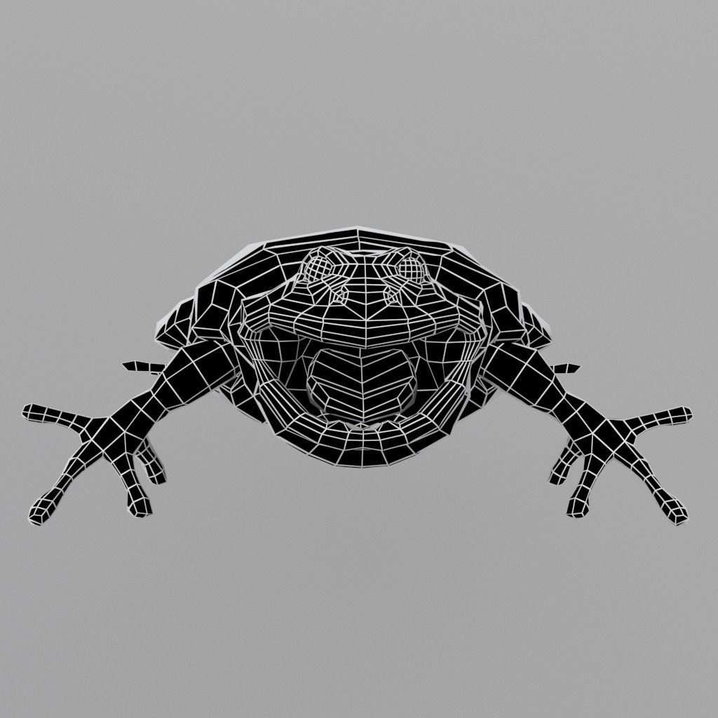 Anuran frog Low-poly 3D model_10
