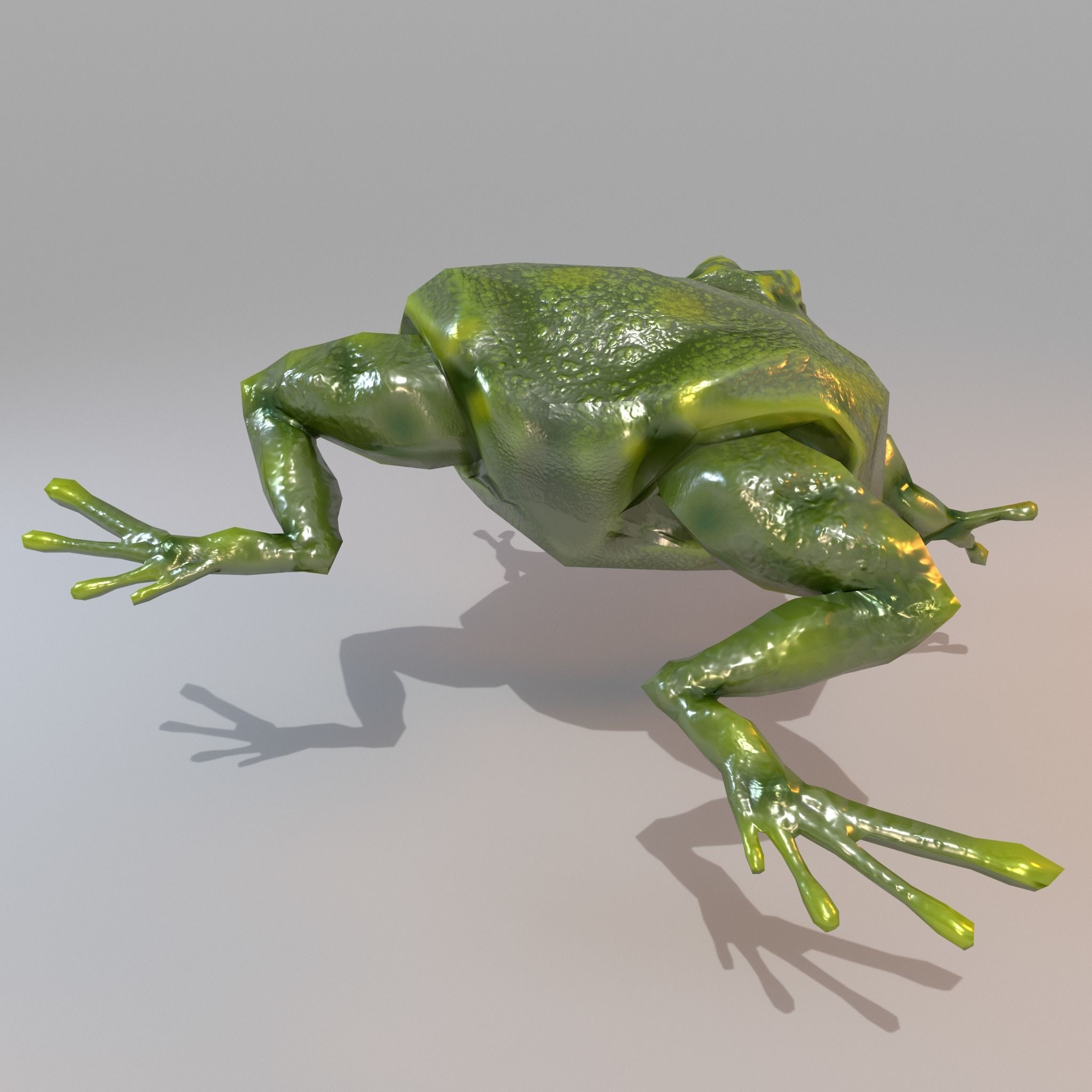 Anuran frog Low-poly 3D model_4