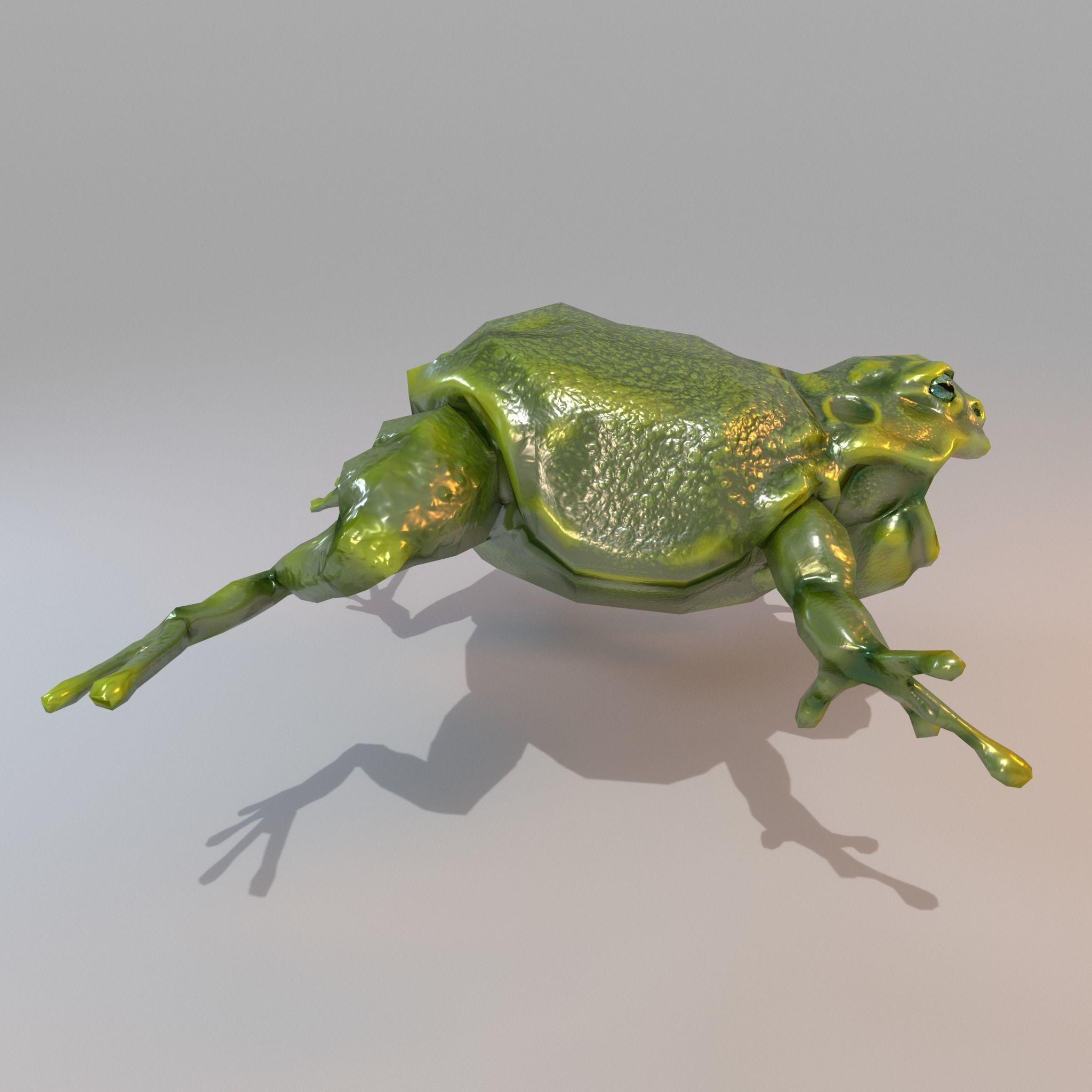 Anuran frog Low-poly 3D model_3