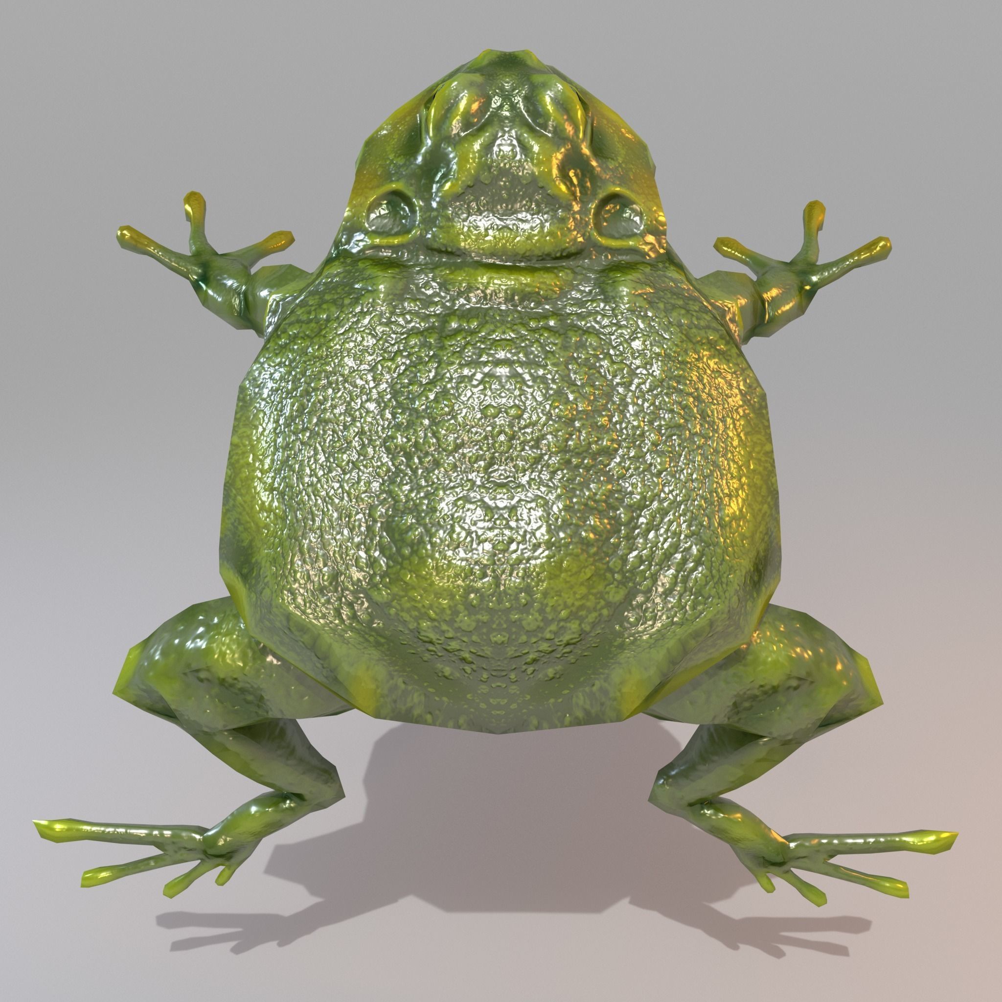 Anuran frog Low-poly 3D model_6