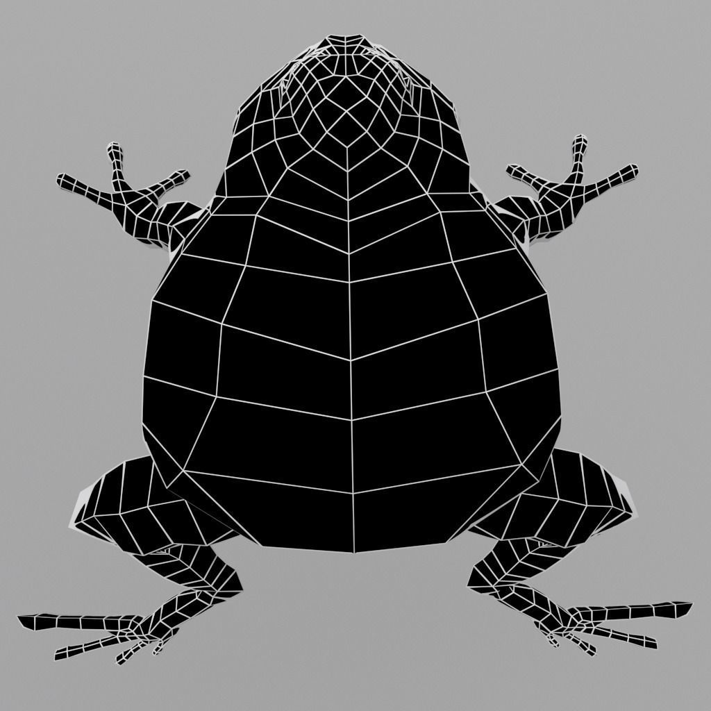 Anuran frog Low-poly 3D model_8