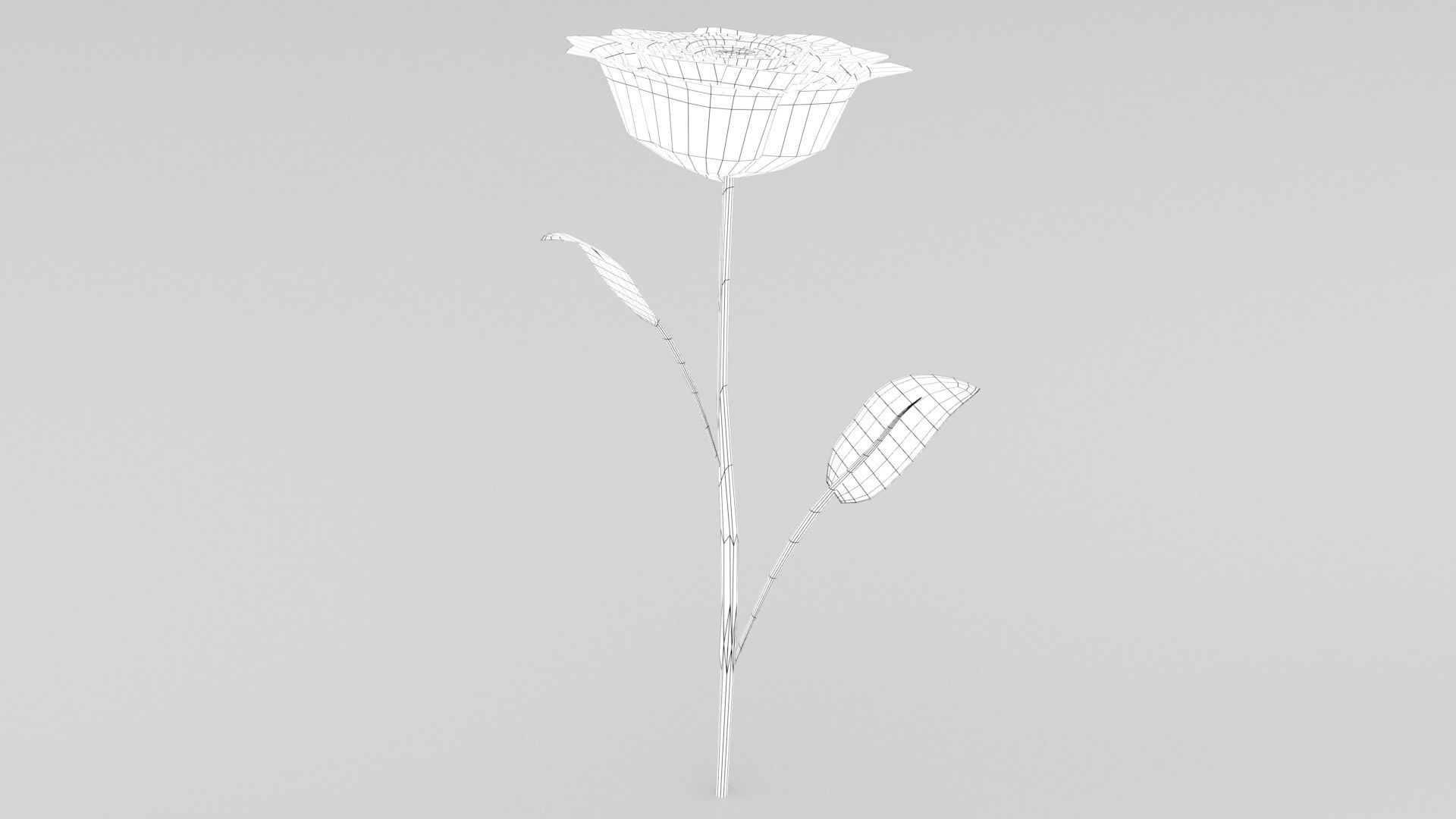 Red Rose Free low-poly 3D model_4