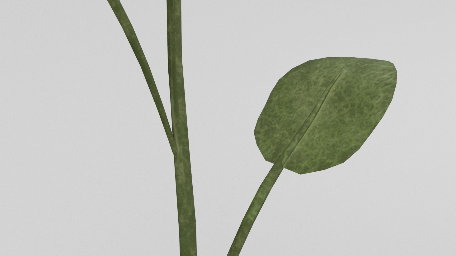 Red Rose Free low-poly 3D model_8