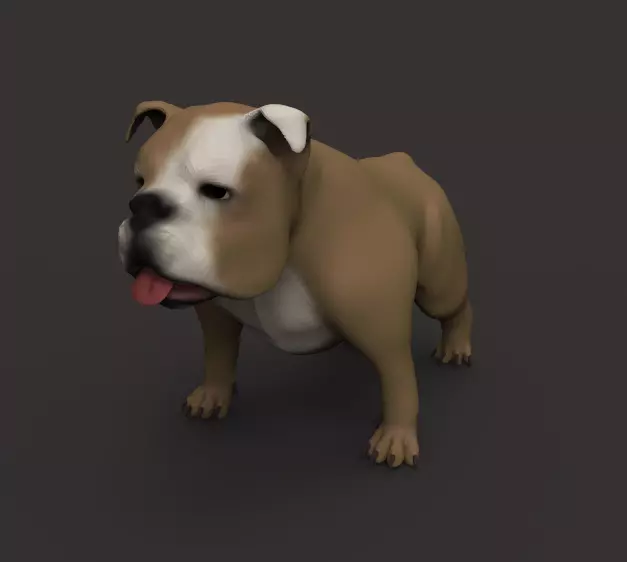 Buldog bulldog Free low-poly 3D model