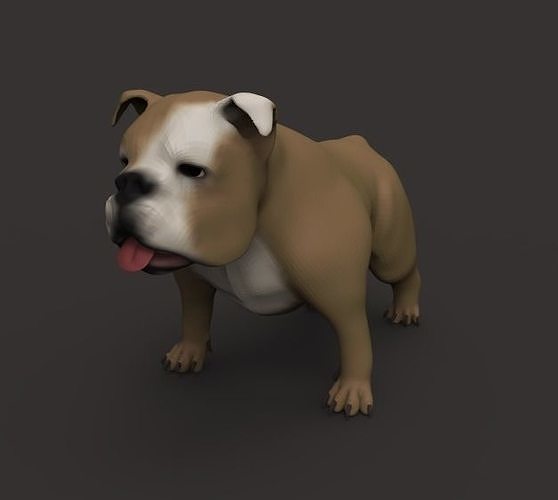 Buldog bulldog Free low-poly 3D model