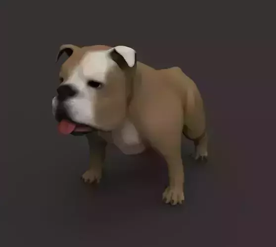 Buldog bulldog Free low-poly 3D model