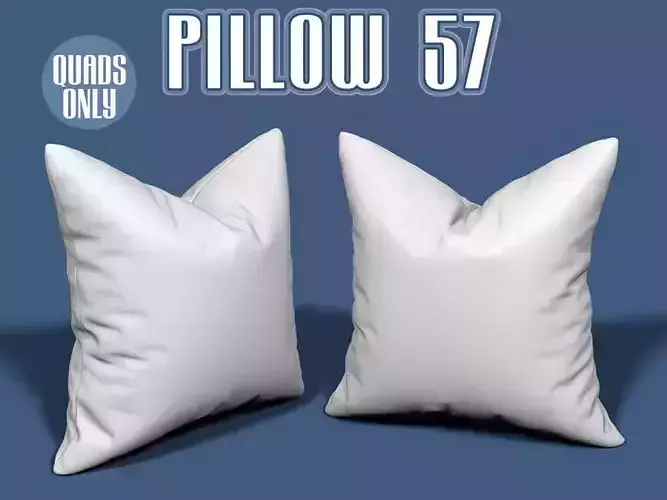 Pillow 57