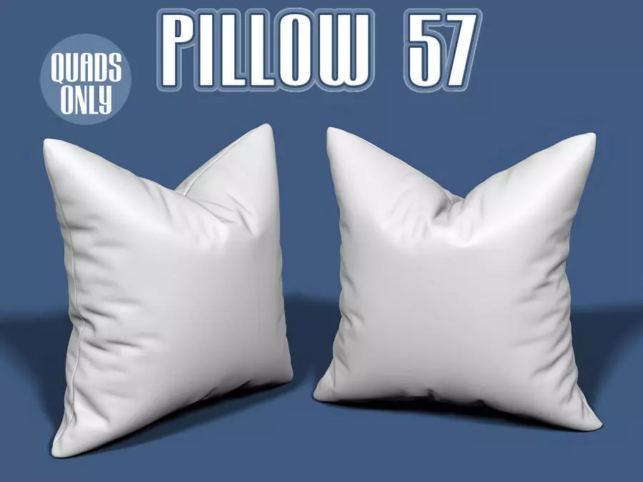 Pillow 57 3D model_0