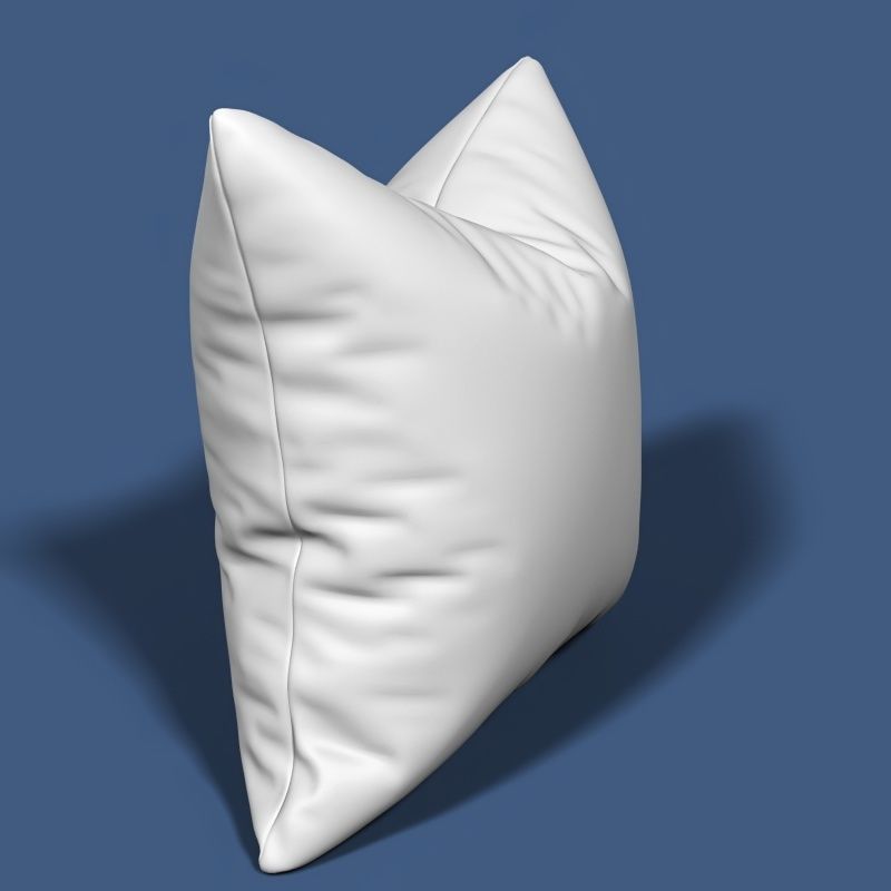 Pillow 57 3D model_1