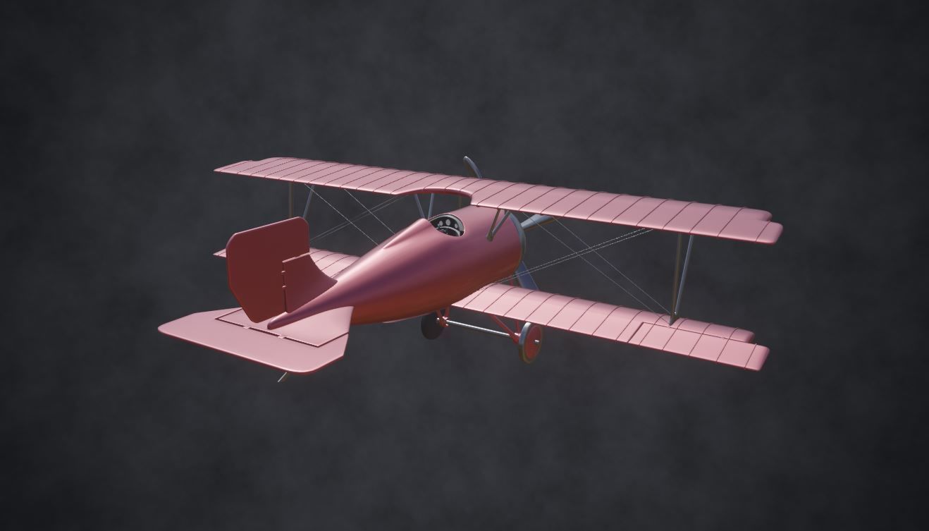 ww biplane  Low-poly 3D model_13