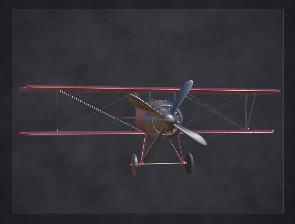 ww biplane  Low-poly 3D model_19
