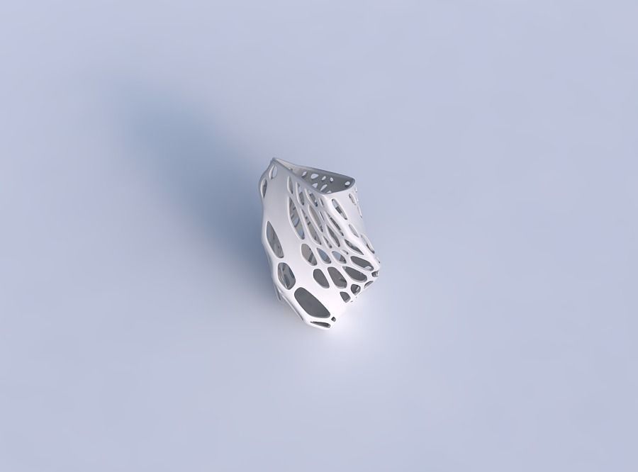 Vase twisted bent quadratic with organic lattice with solid s... 3D print model_1