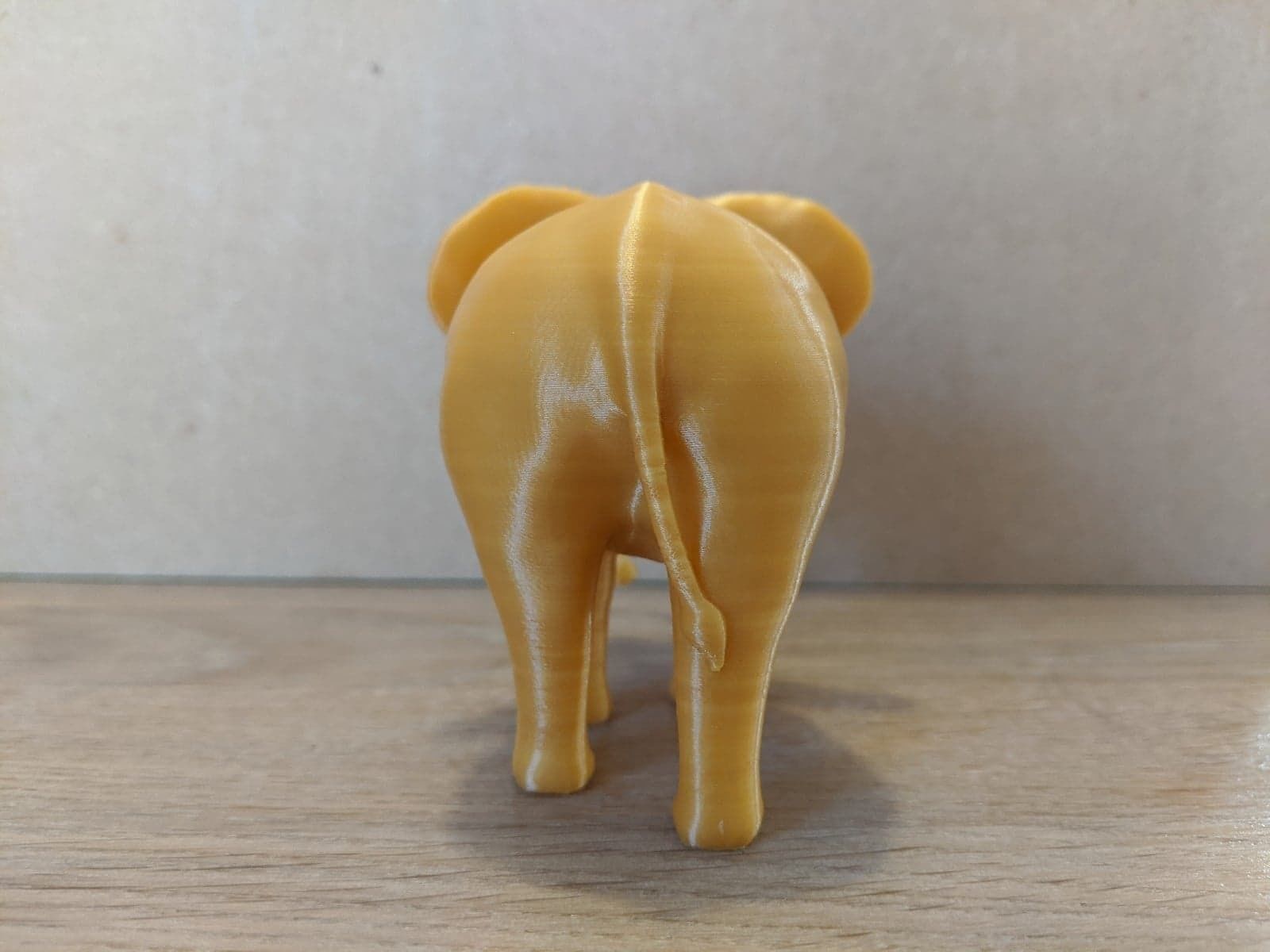 Elephant with tusks 3D print model_5