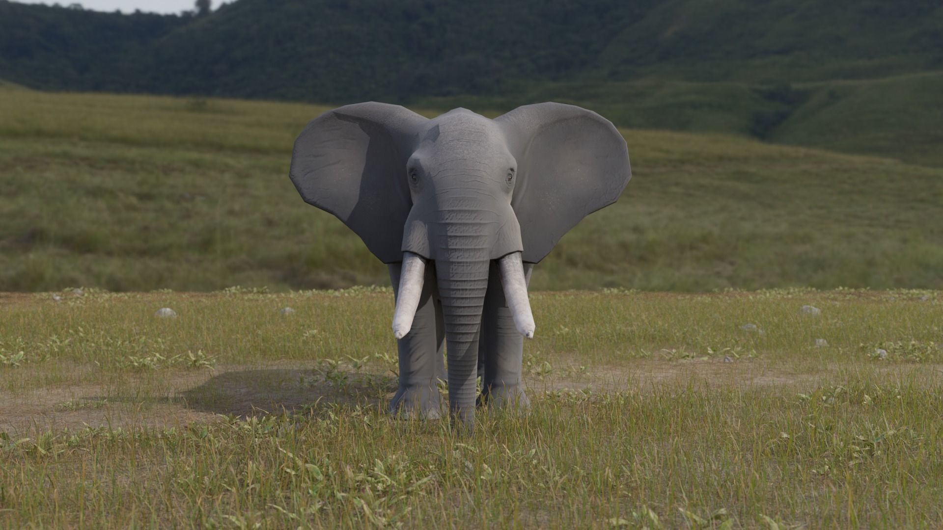 Elephant Low-poly 3D model_3