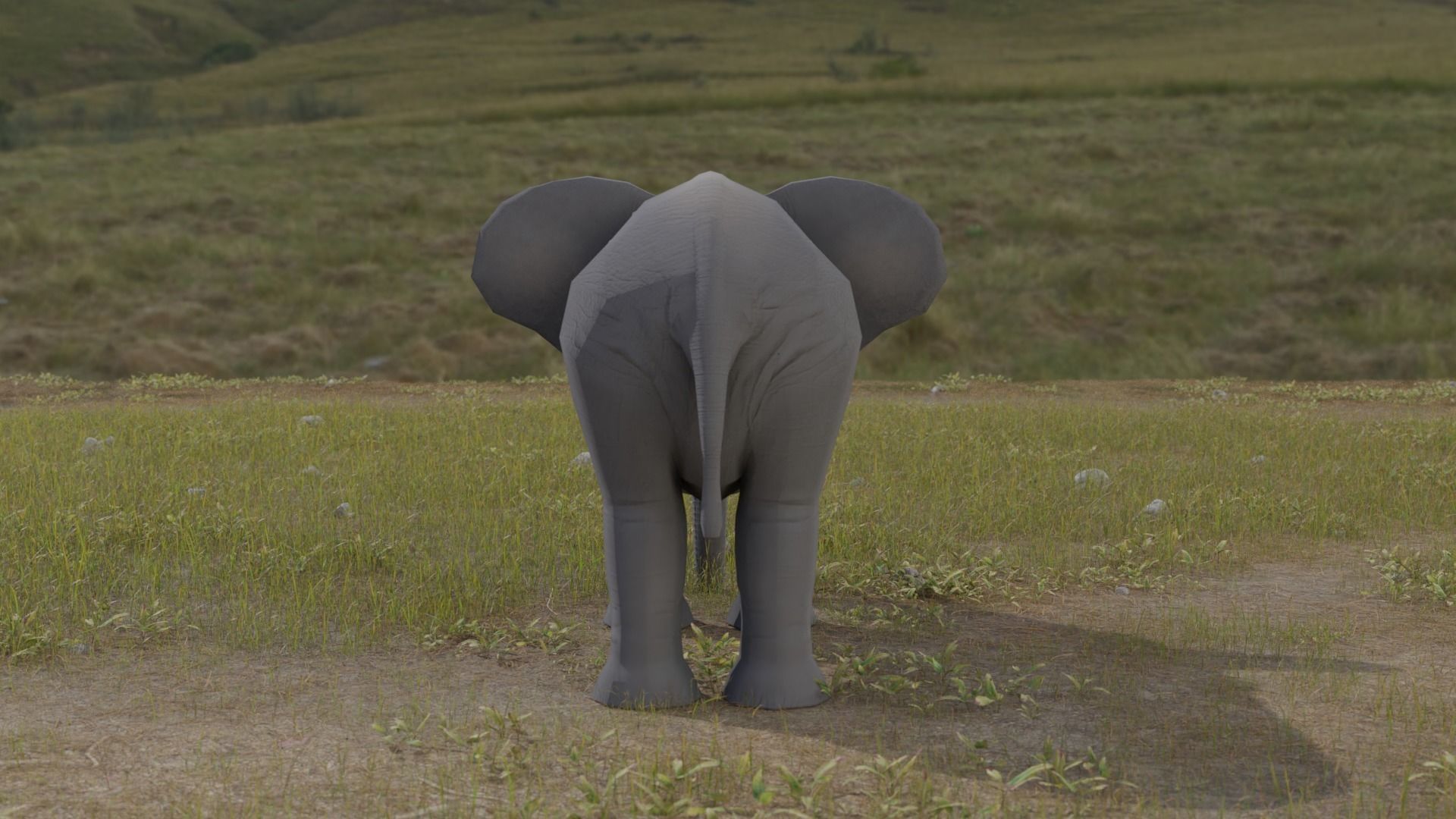 Elephant Low-poly 3D model_5