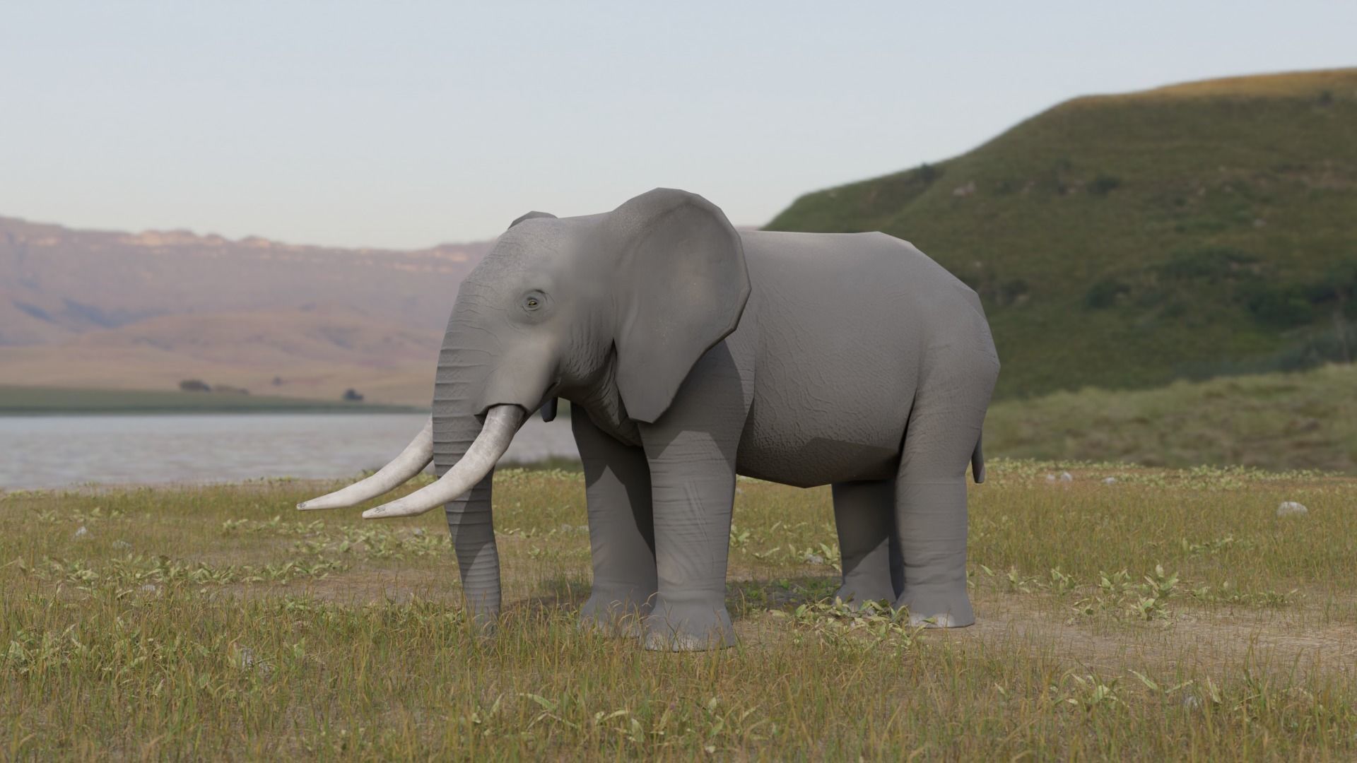 Elephant Low-poly 3D model_2