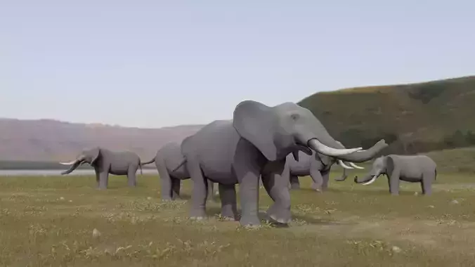 Elephant Low-poly 3D model