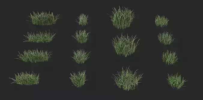 Grass Pack 3D model