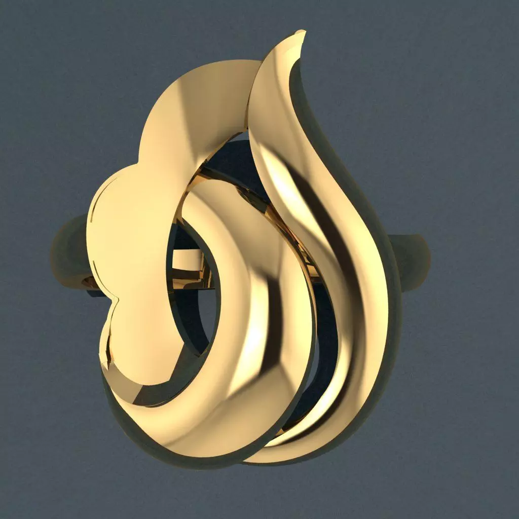 Ring 11 3D print model_0
