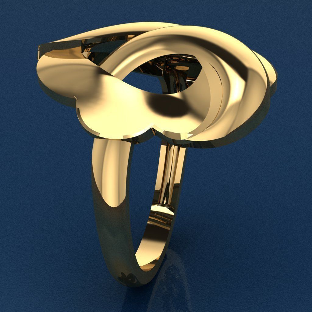 Ring 11 3D print model_1