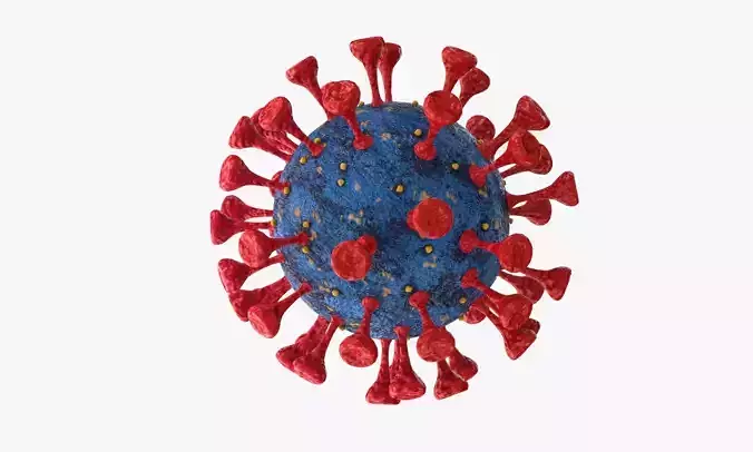 Coronavirus COVID 19 3D model
