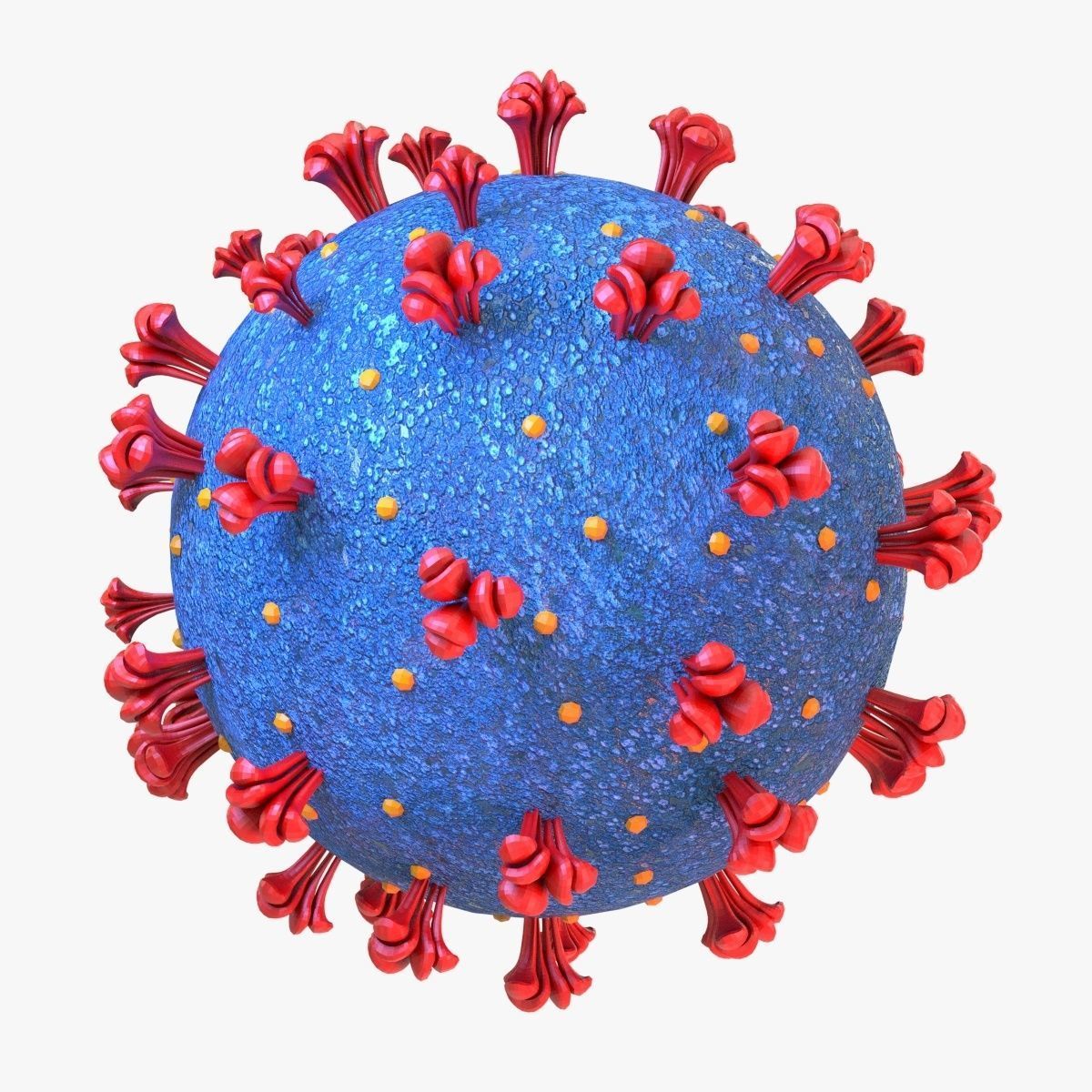 Coronavirus COVID 19 3D model_3