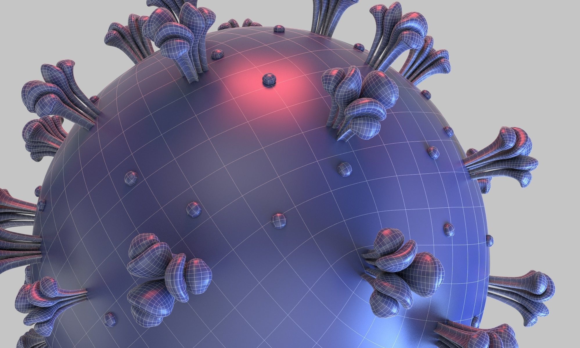 Coronavirus COVID 19 3D model_7