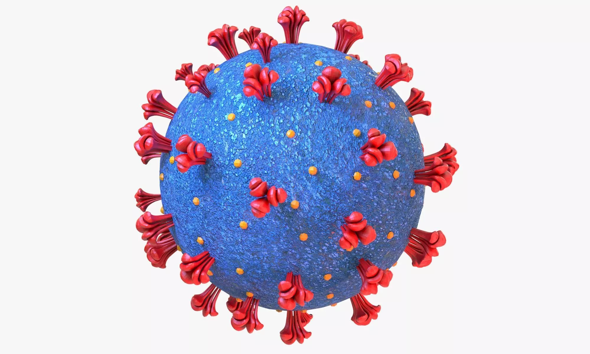 Coronavirus COVID 19 3D model_0