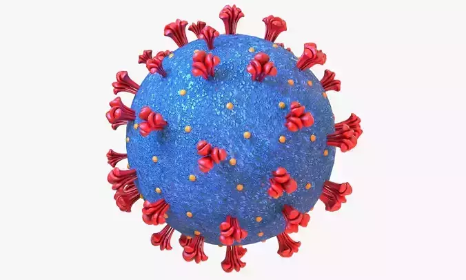 Coronavirus COVID 19 3D model