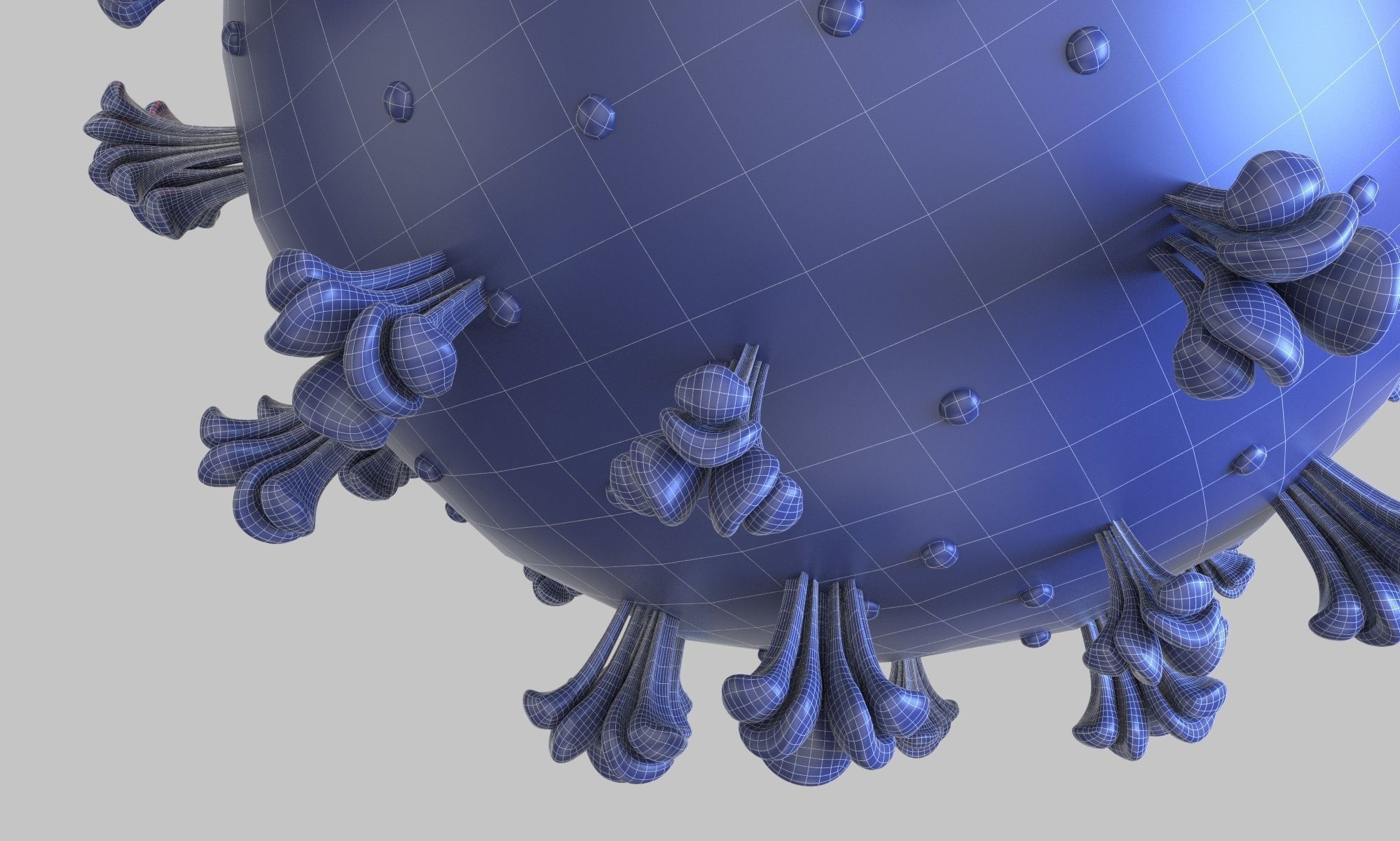 Coronavirus COVID 19 3D model_6