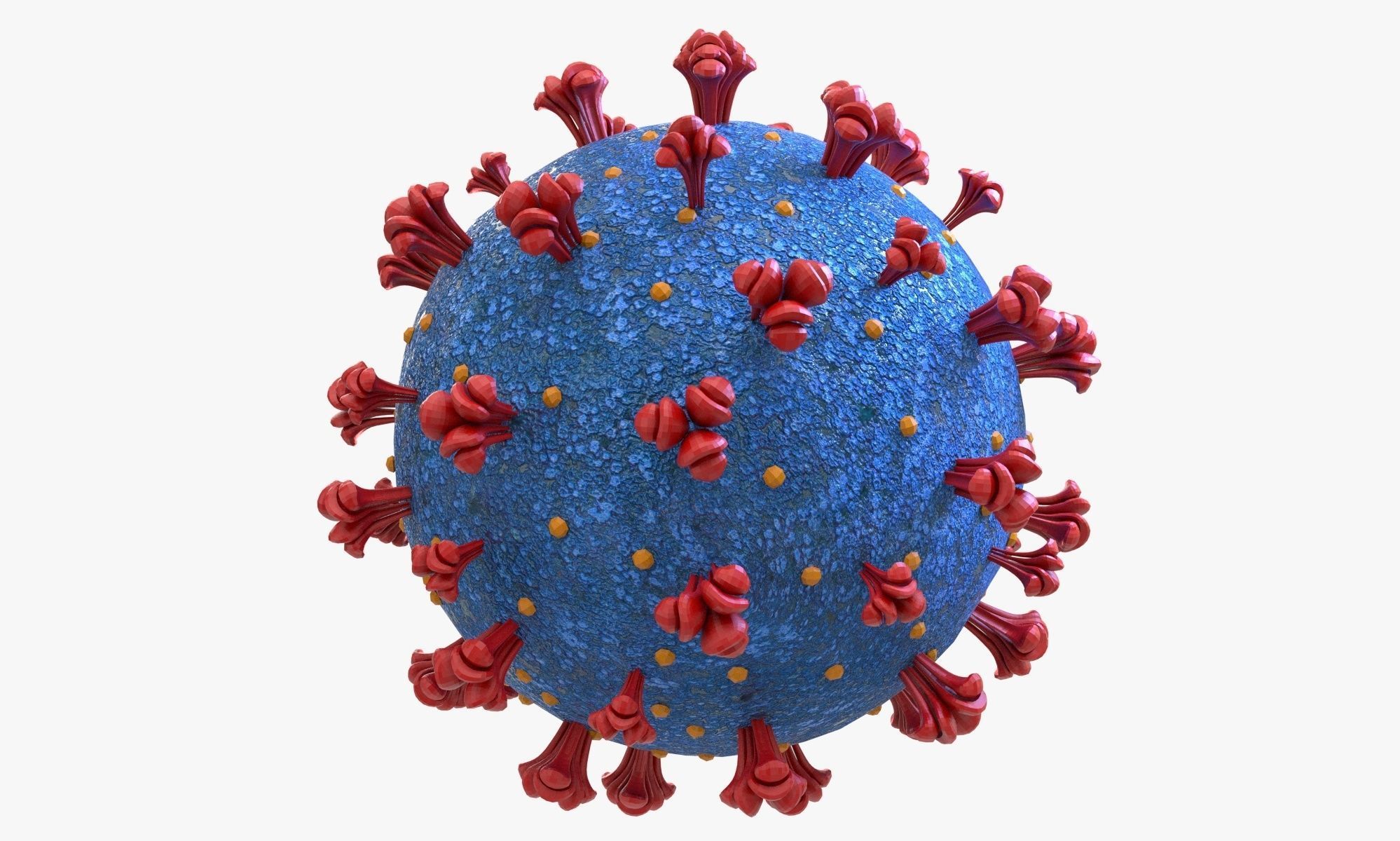 Coronavirus COVID 19 3D model_1